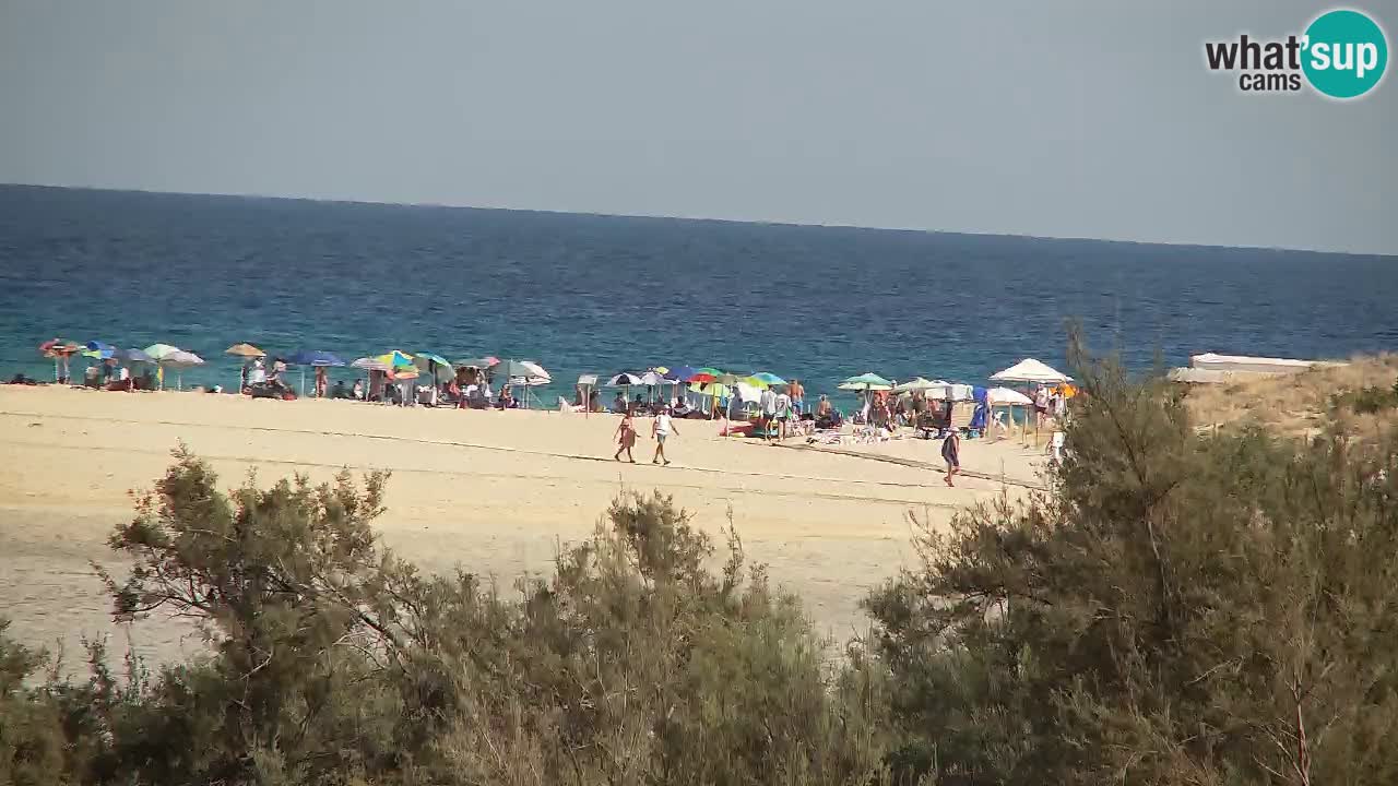 Webcam Chia – Live View of Su Giudeu Beach