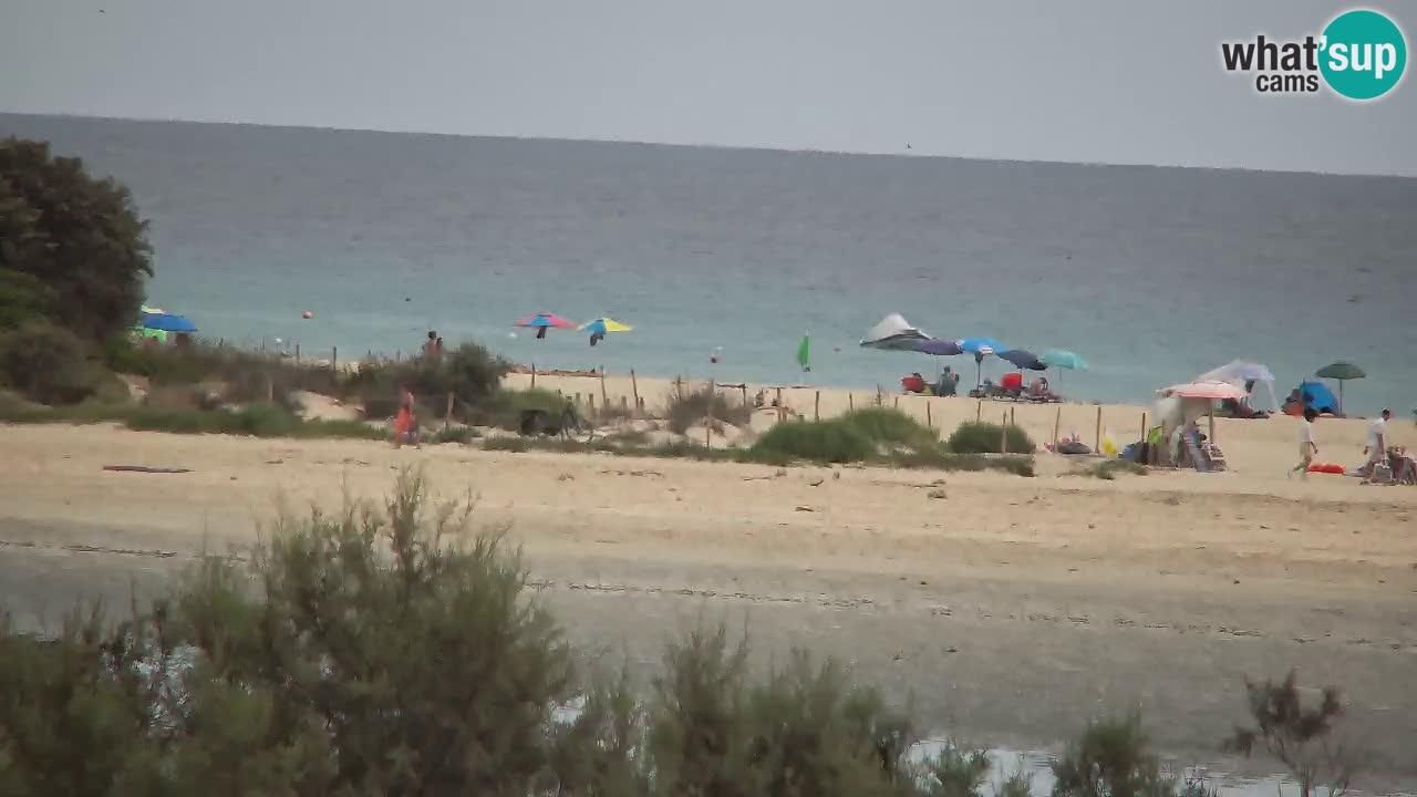 Webcam Chia – Liveblick auf den Strand Su Giudeu