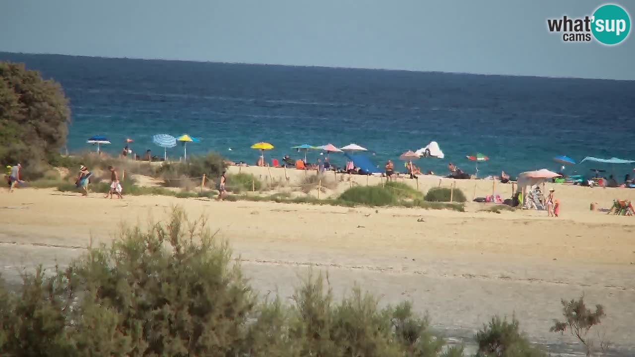 Webcam Chia – Vue en direct de la plage Su Giudeu
