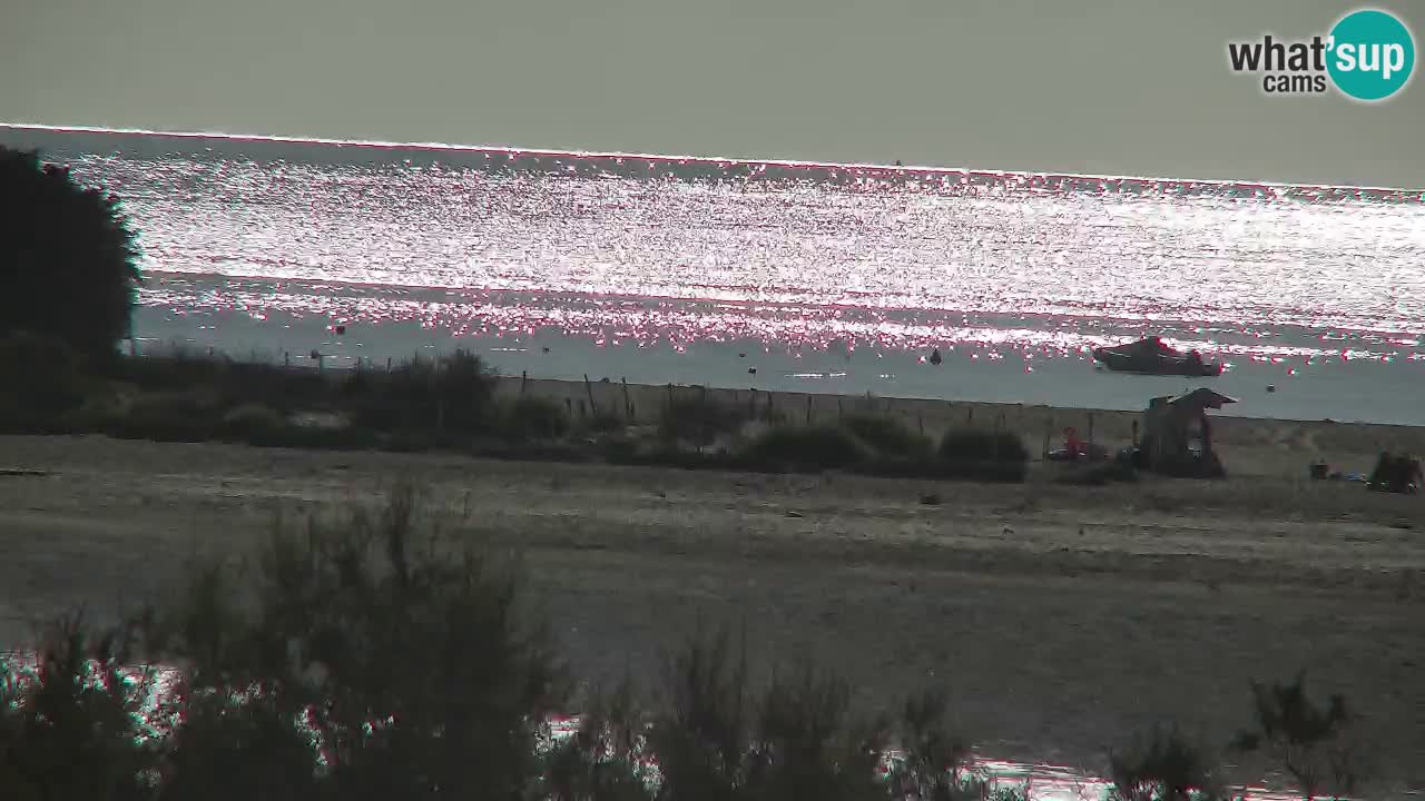 Webcam Chia – Vue en direct de la plage Su Giudeu