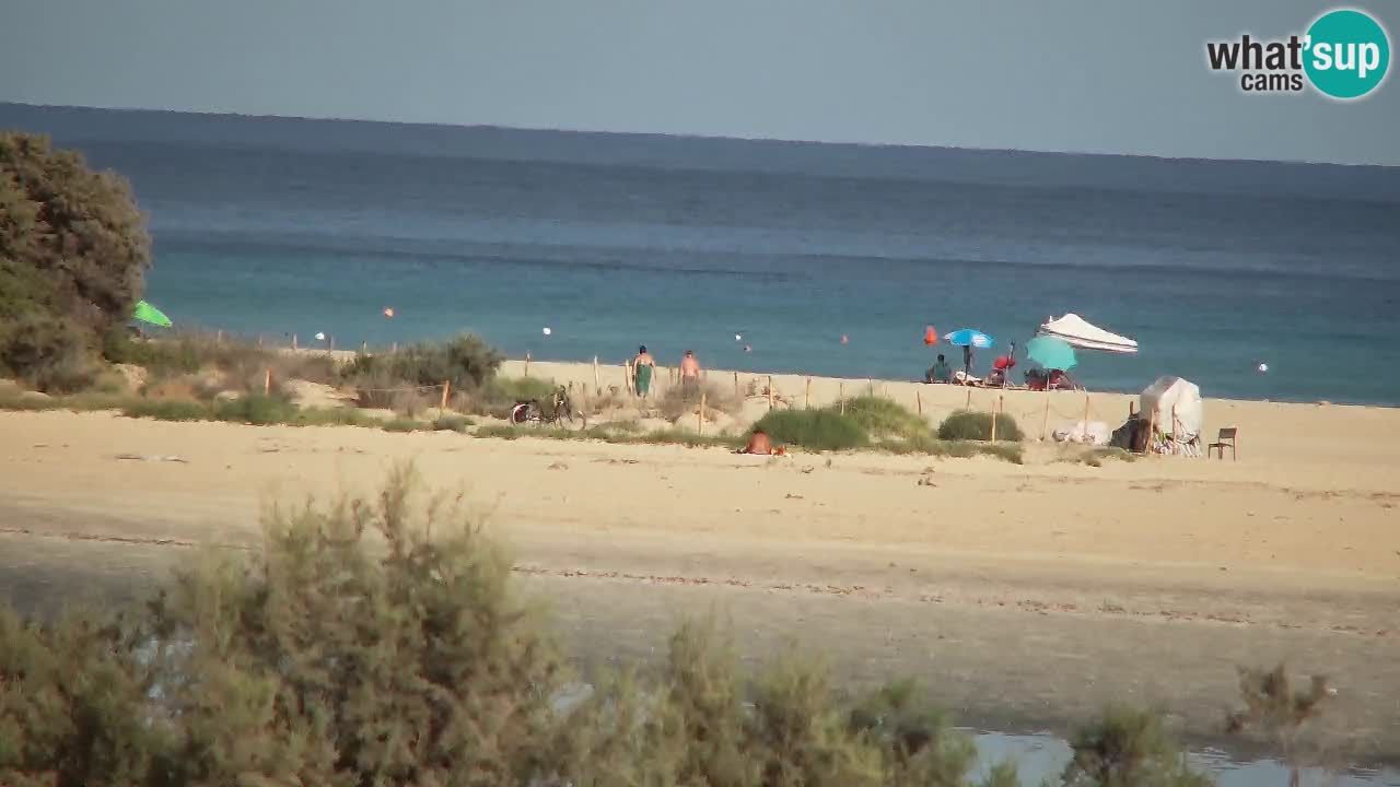 Webcam Chia – Liveblick auf den Strand Su Giudeu
