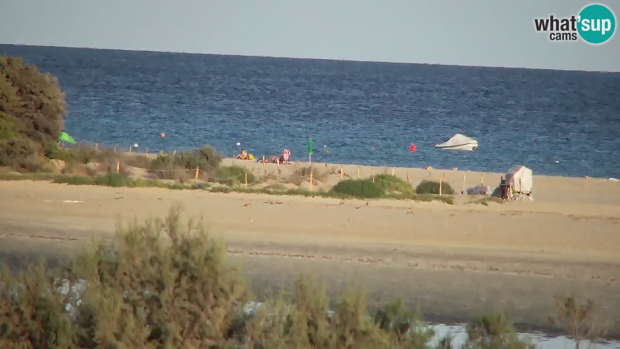 Webcam Chia – Live View of Su Giudeu Beach