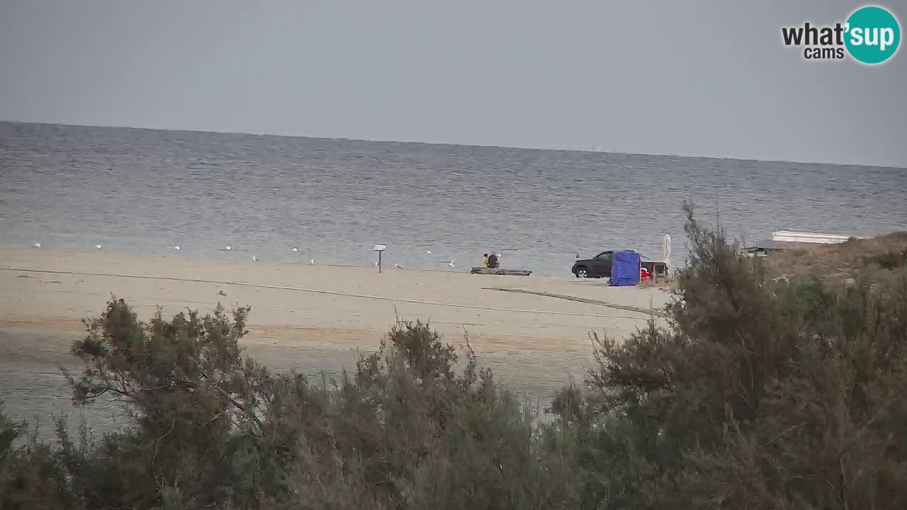Webcam Chia – Live View of Su Giudeu Beach