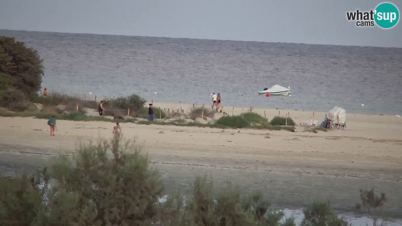 Spletna kamera Chia – Pogled v živo na plažo Su Giudeu