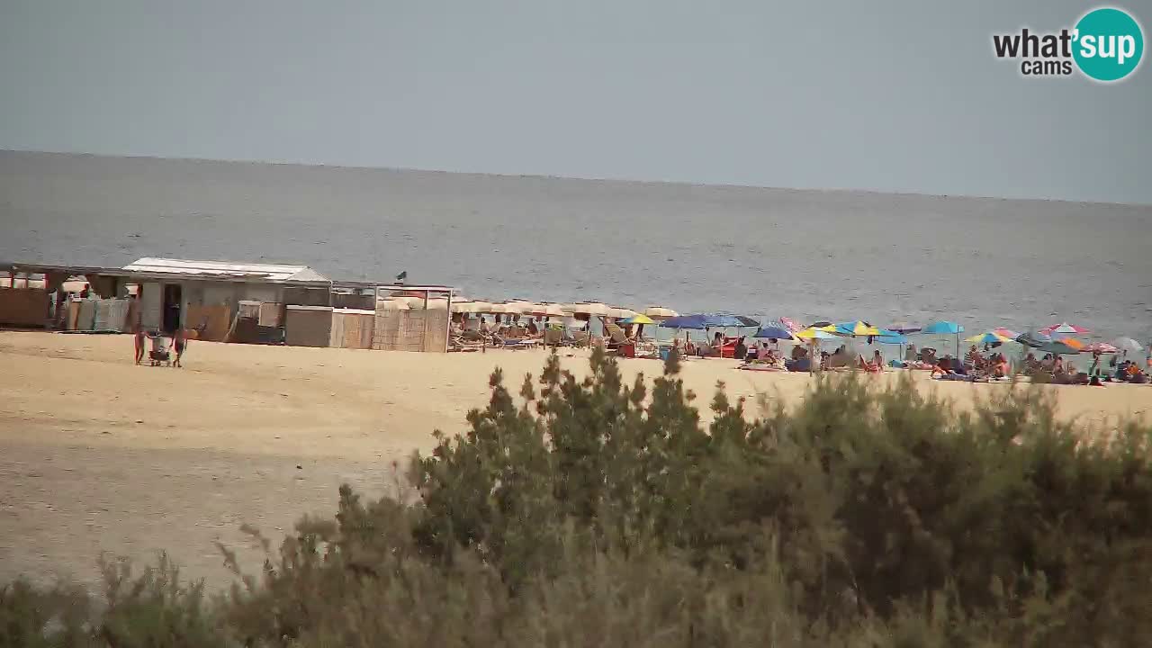 Webcam Chia – Live View of Su Giudeu Beach