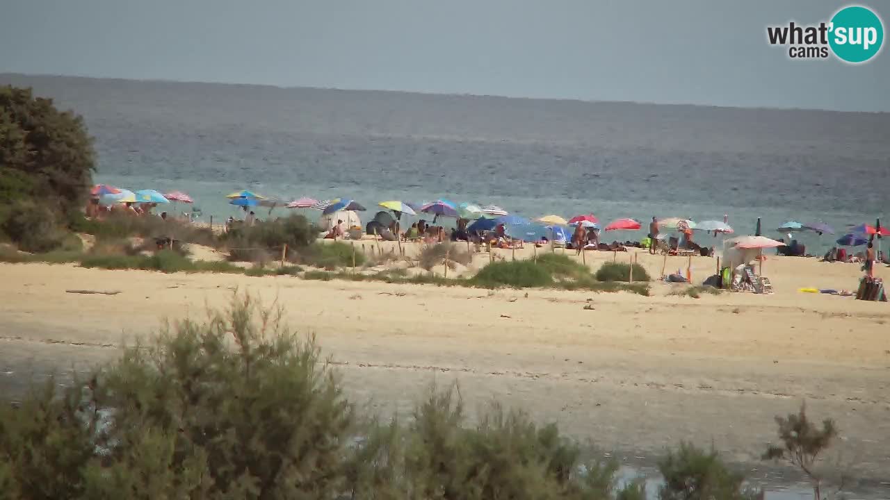 Webcam Chia – Live View of Su Giudeu Beach