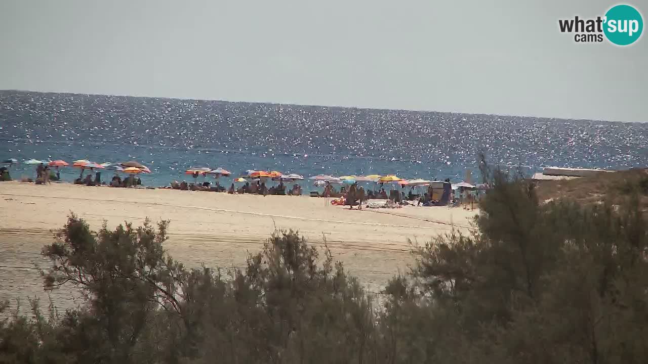 Webcam Chia – Live View of Su Giudeu Beach