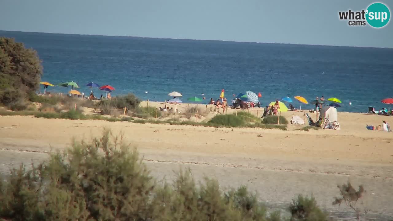 Webcam Chia – Vue en direct de la plage Su Giudeu