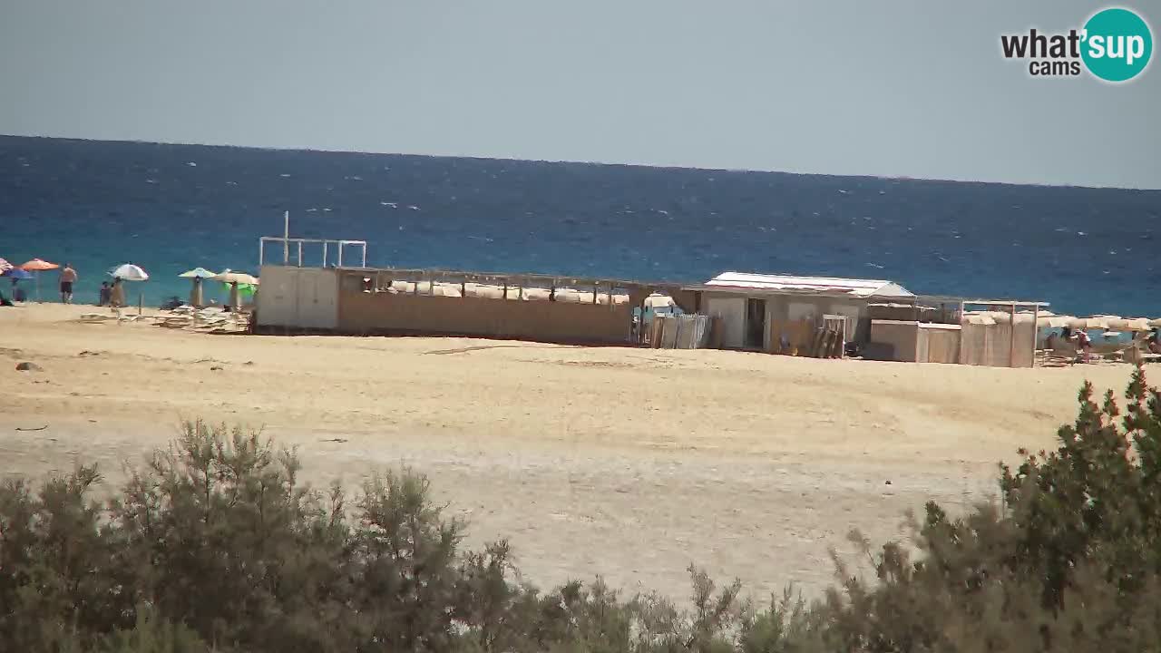 Webcam Chia – Live View of Su Giudeu Beach