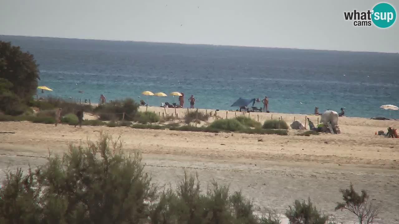 Webcam Chia – Vista en directo de la playa Su Giudeu