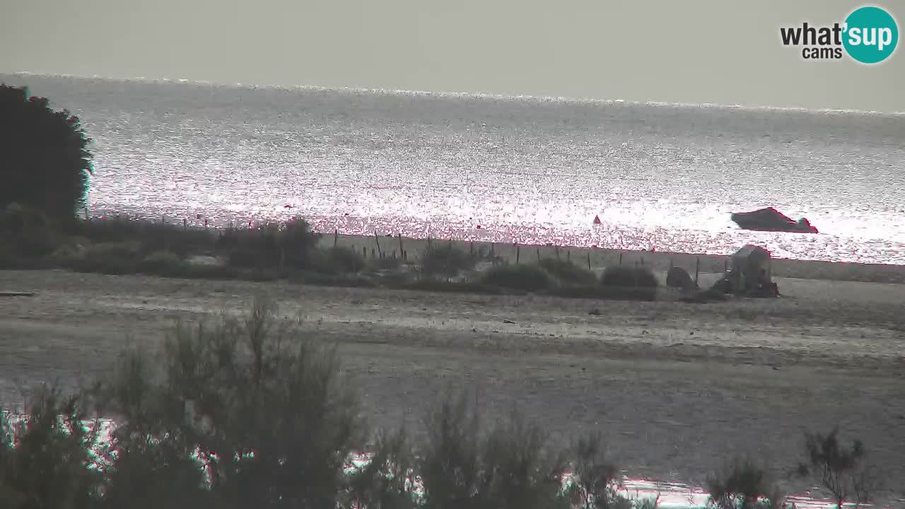 Webcam Chia – Liveblick auf den Strand Su Giudeu