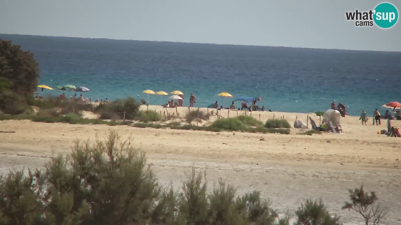Webcam Chia – Spiaggia Su Giudeu in diretta