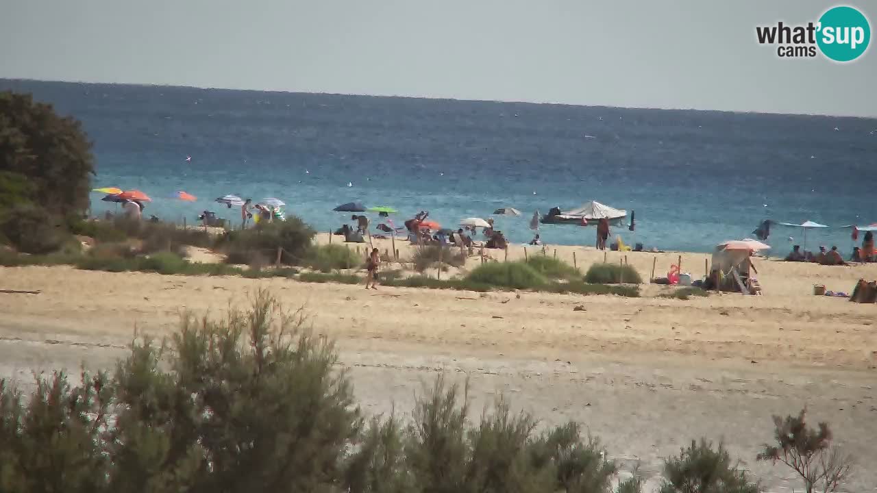 Webcam Chia – Vue en direct de la plage Su Giudeu
