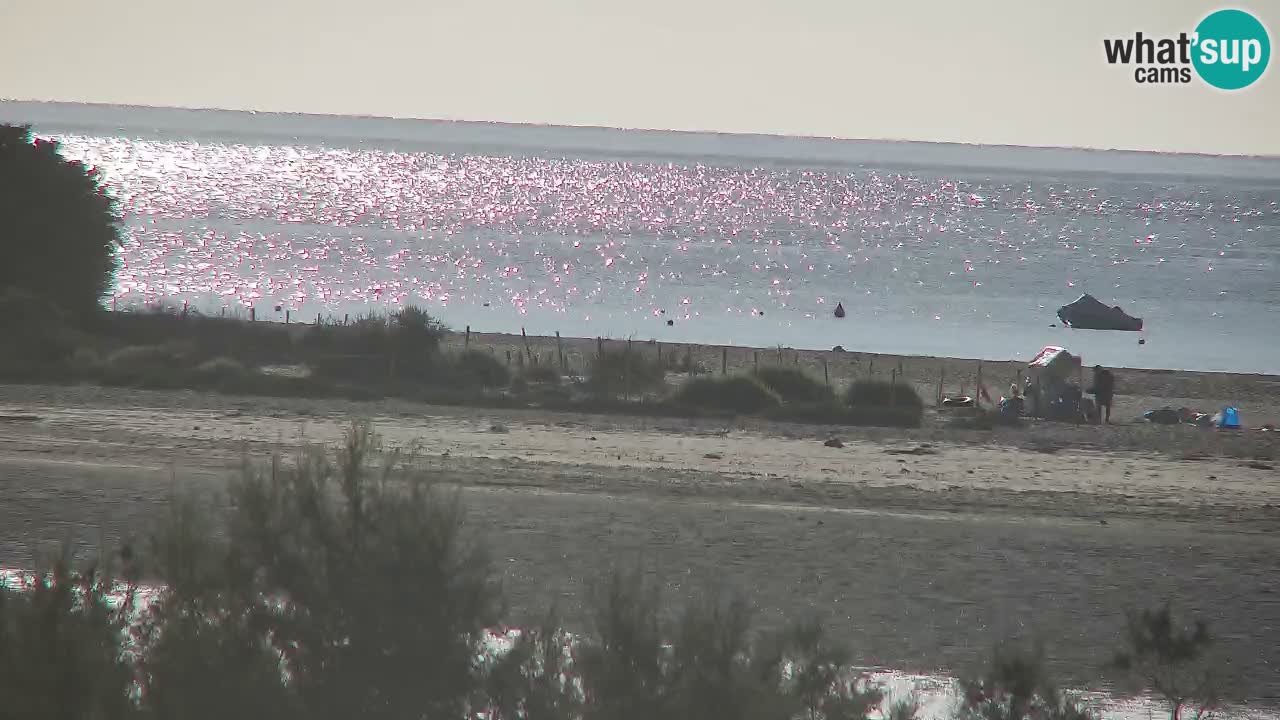 Webcam Chia – Vista en directo de la playa Su Giudeu