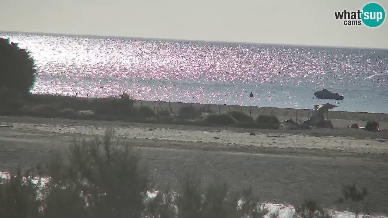 Webcam Chia – Liveblick auf den Strand Su Giudeu