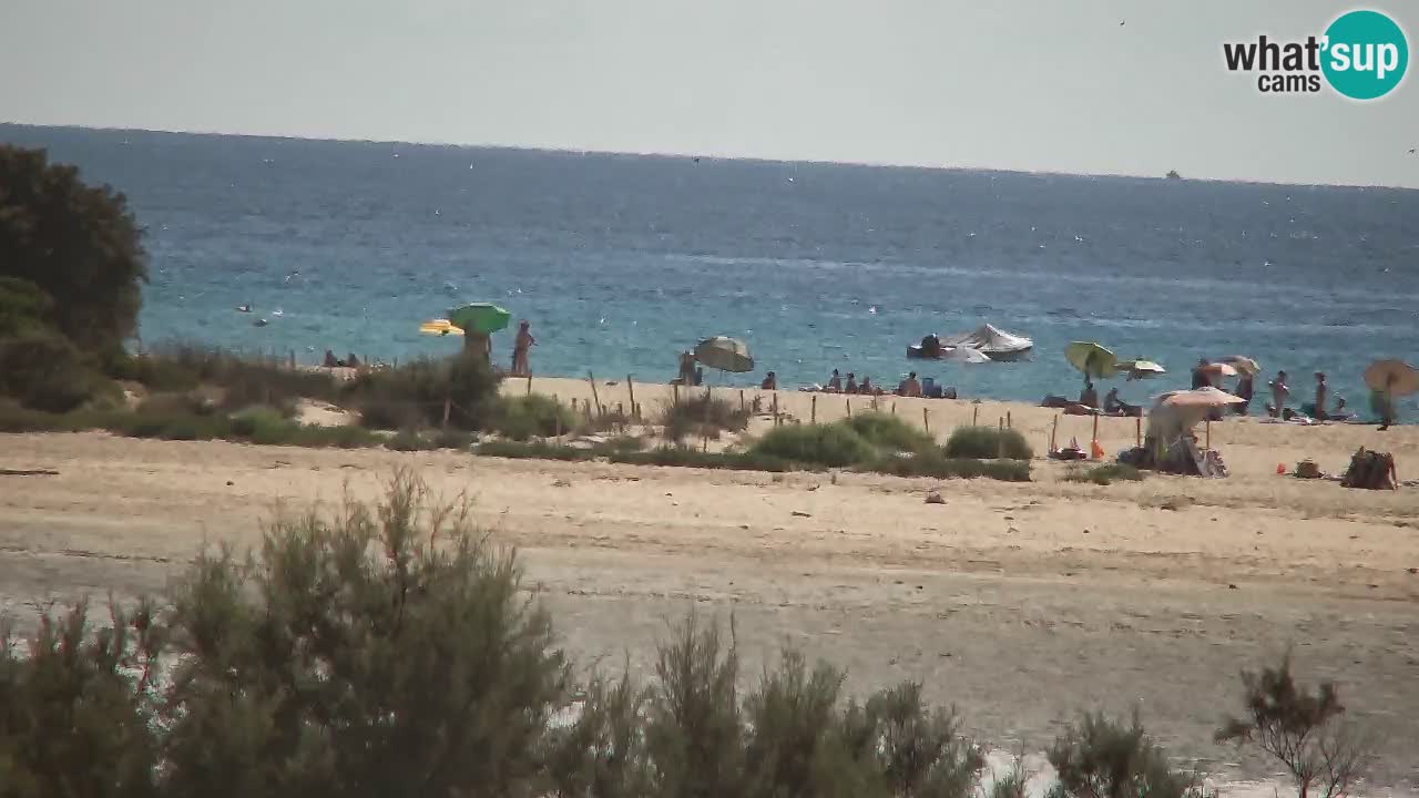 Webcam Chia – Live View of Su Giudeu Beach