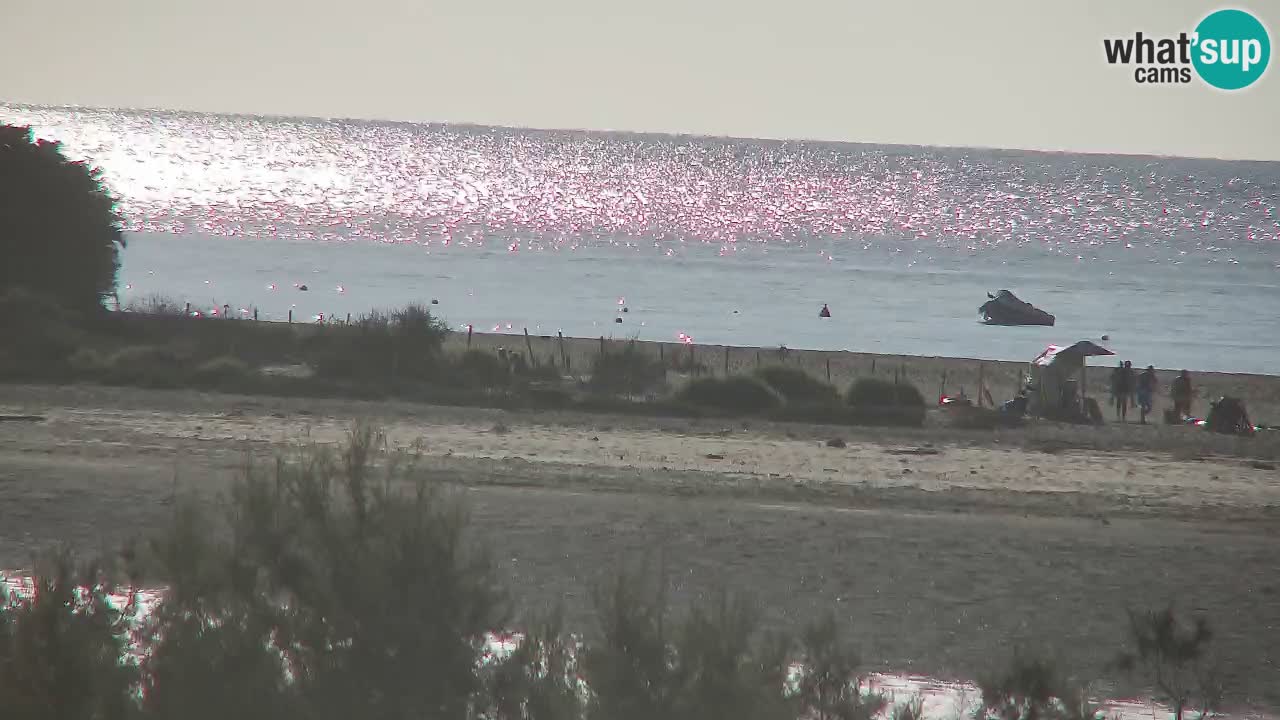 Webcam Chia – Live View of Su Giudeu Beach