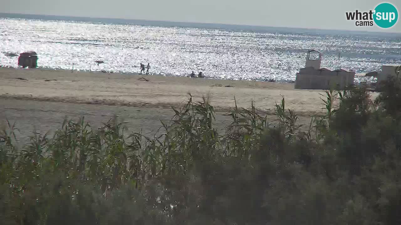 Webcam Chia – Live View of Su Giudeu Beach