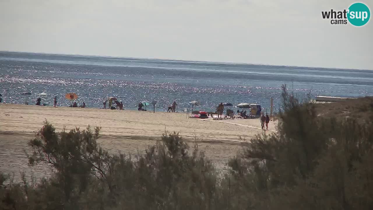 Webcam Chia – Live View of Su Giudeu Beach