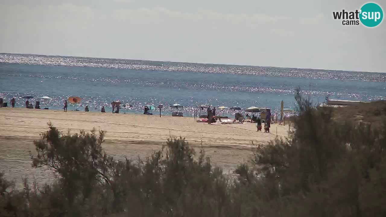 Webcam Chia – Vue en direct de la plage Su Giudeu