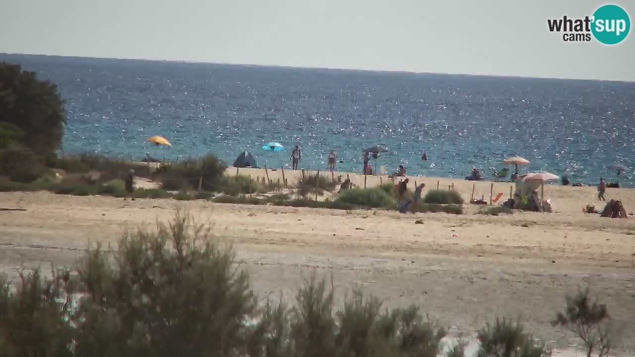 Webcam Chia – Liveblick auf den Strand Su Giudeu