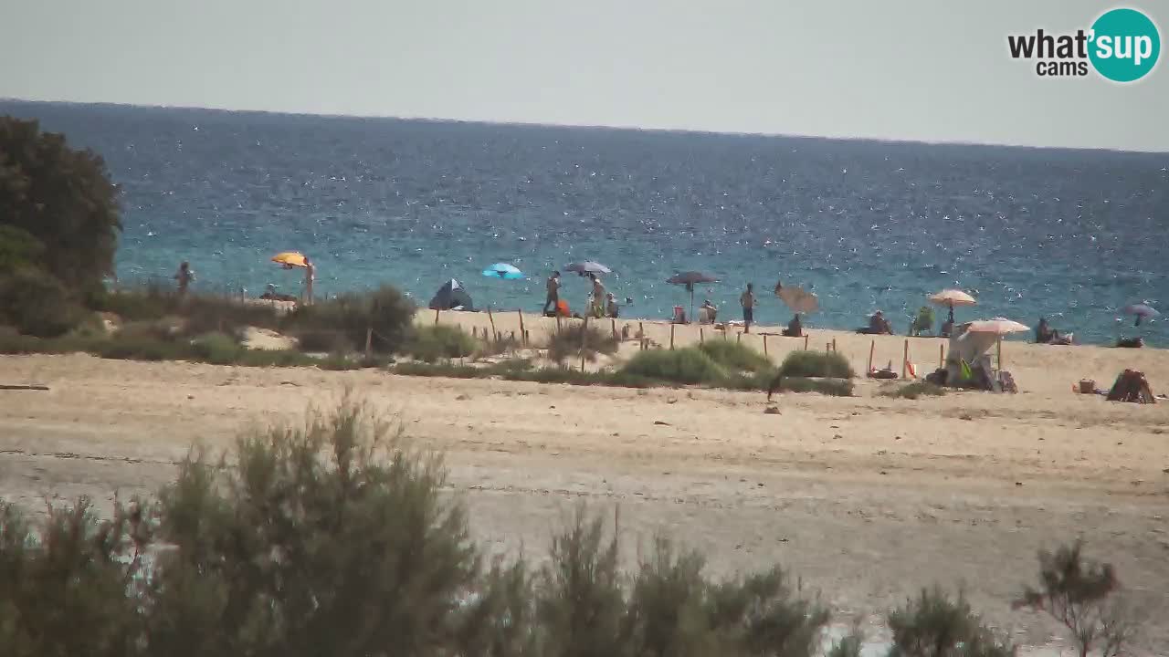 Webcam Chia – Liveblick auf den Strand Su Giudeu
