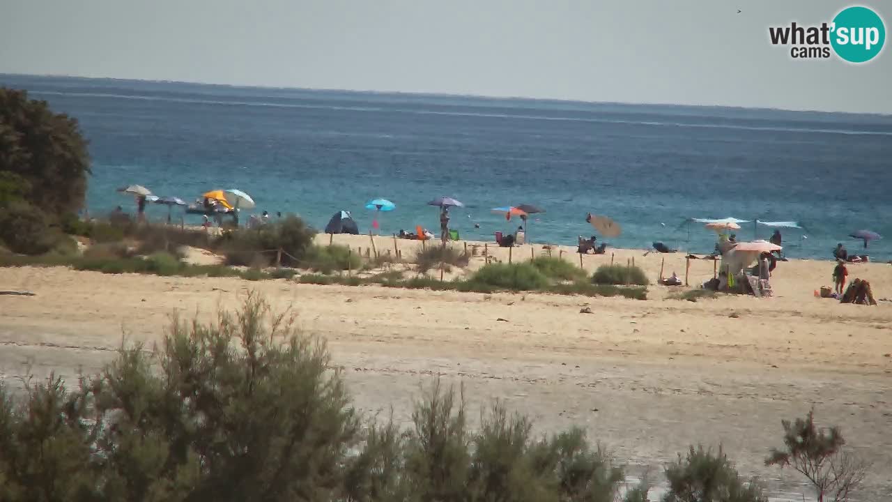 Webcam Chia – Live View of Su Giudeu Beach