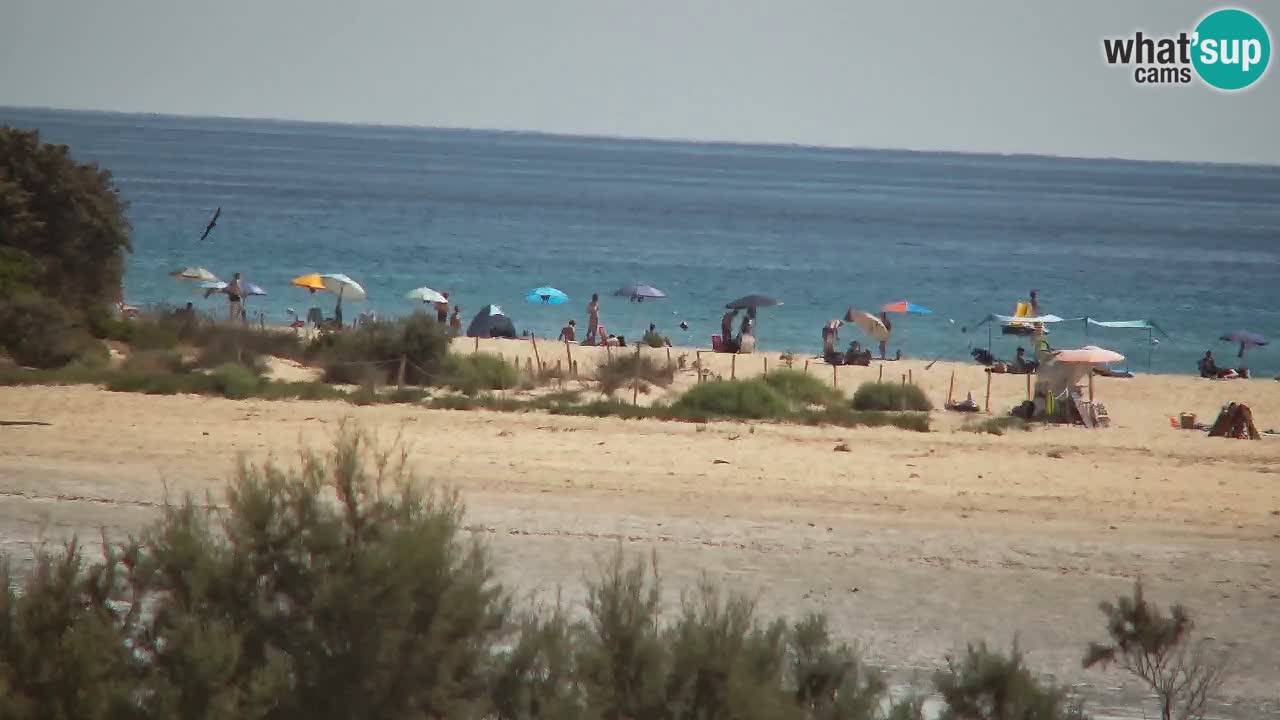 Webcam Chia – Live View of Su Giudeu Beach