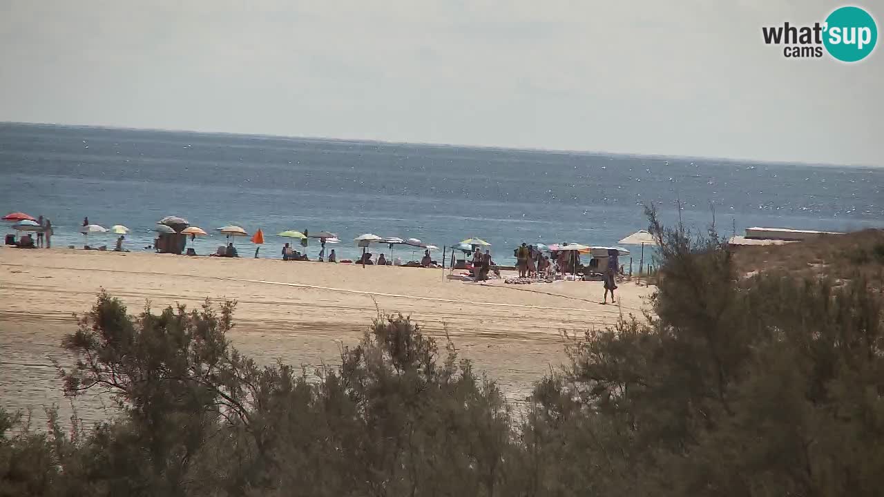 Webcam Chia – Live View of Su Giudeu Beach