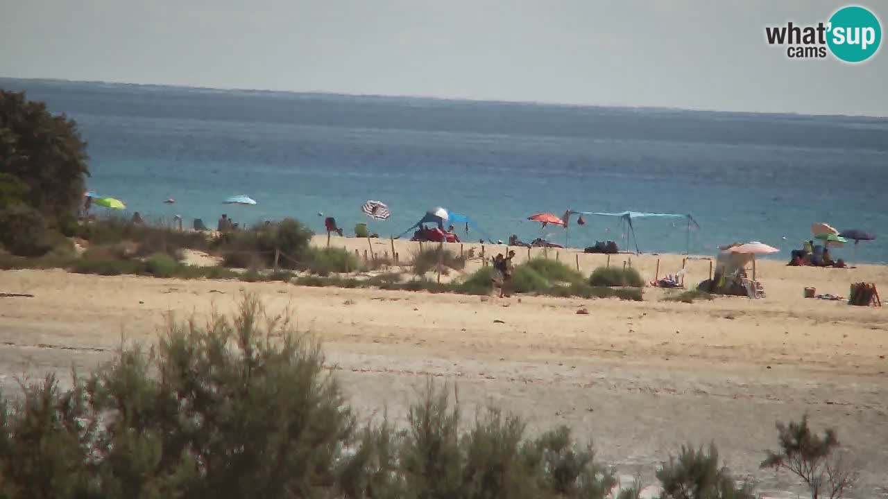 Webcam Chia – Live View of Su Giudeu Beach