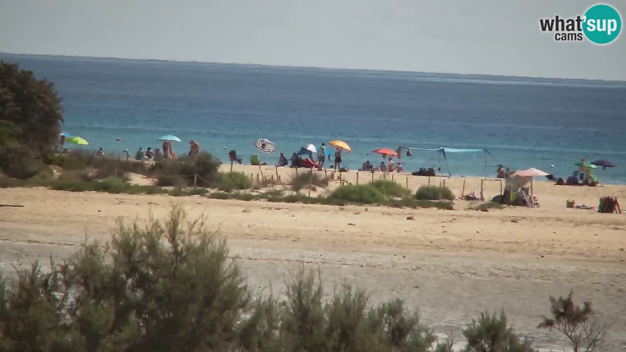 Webcam Chia – Spiaggia Su Giudeu in diretta
