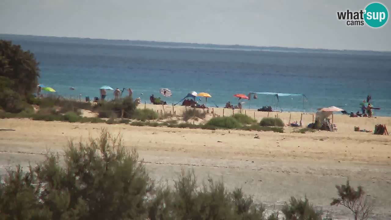 Web kamera Chia – Pogled uživo na plažu Su Giudeu