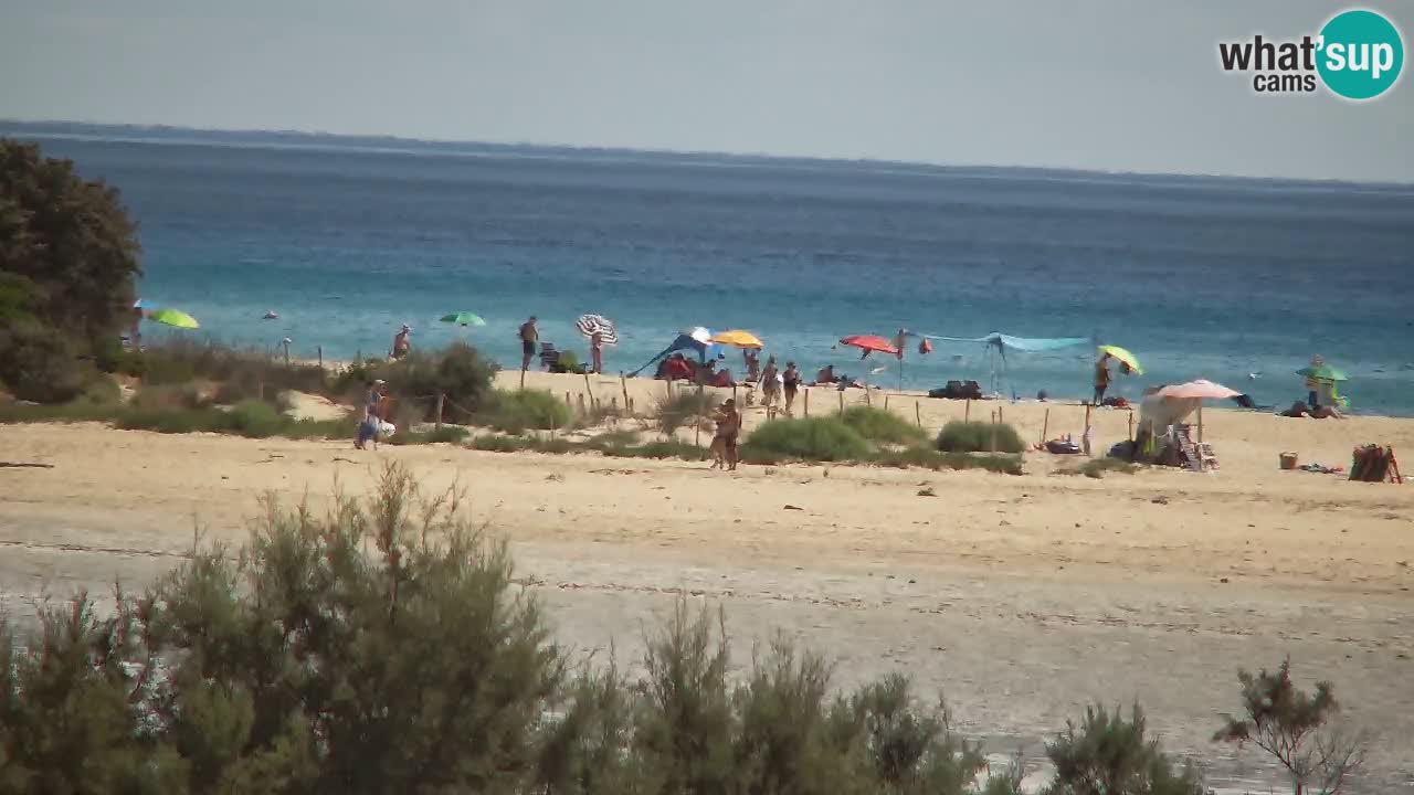 Webcam Chia – Live View of Su Giudeu Beach