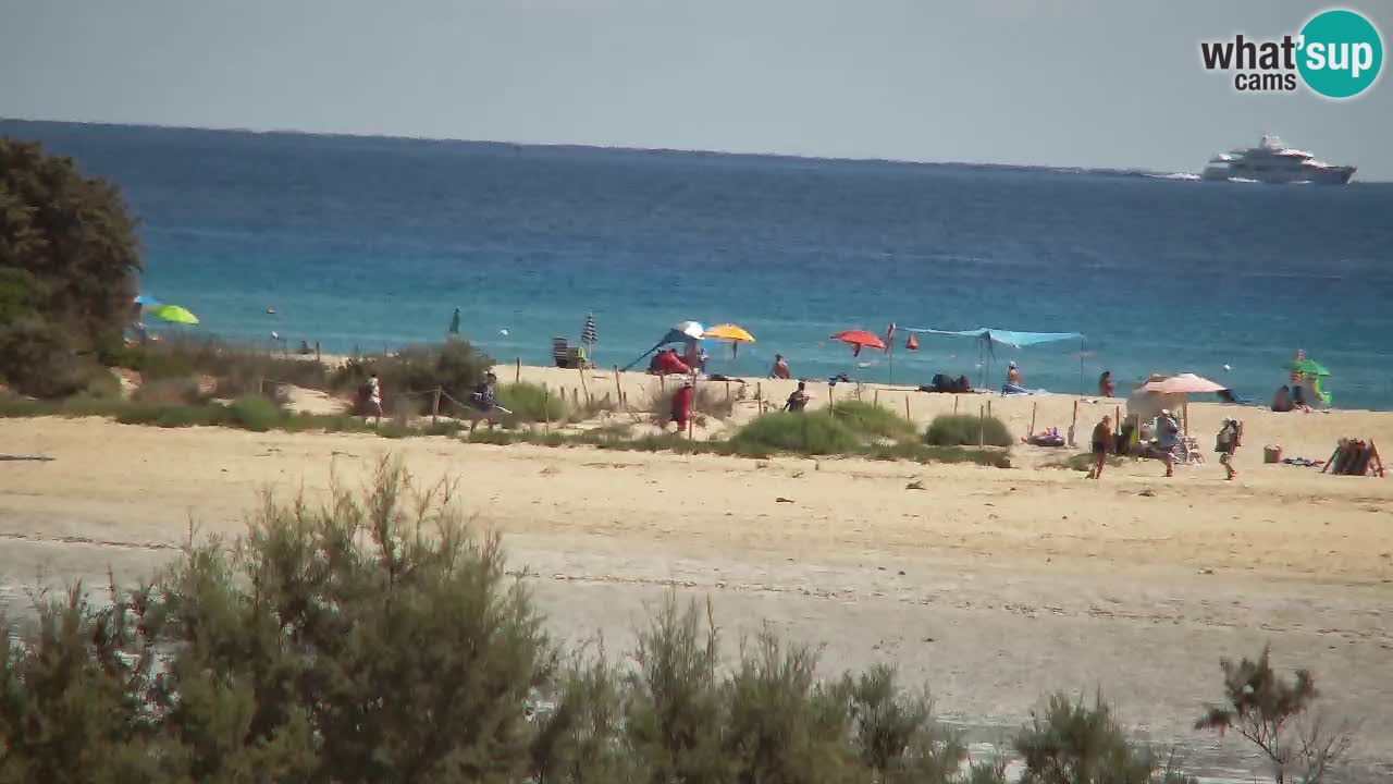 Webcam Chia – Live View of Su Giudeu Beach