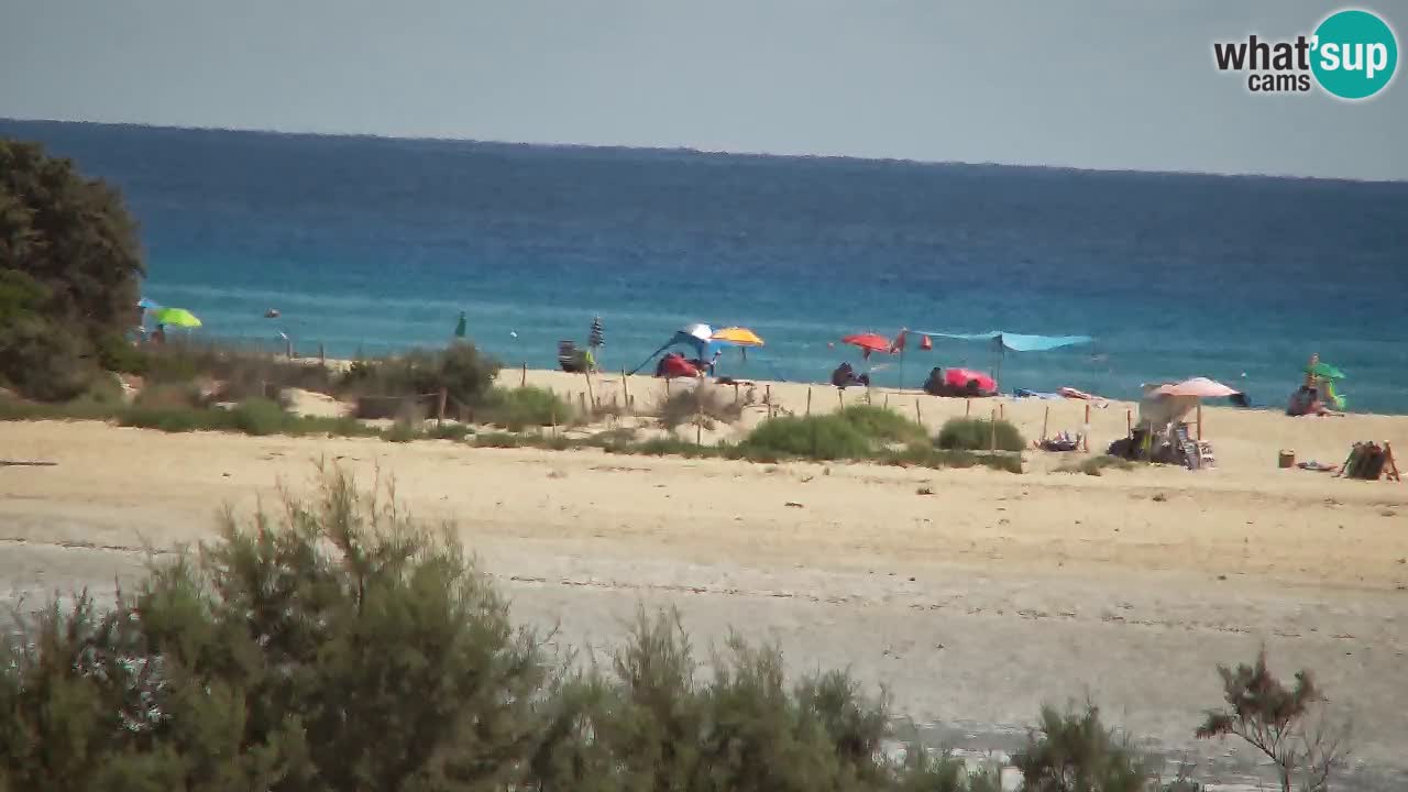 Webcam Chia – Vue en direct de la plage Su Giudeu