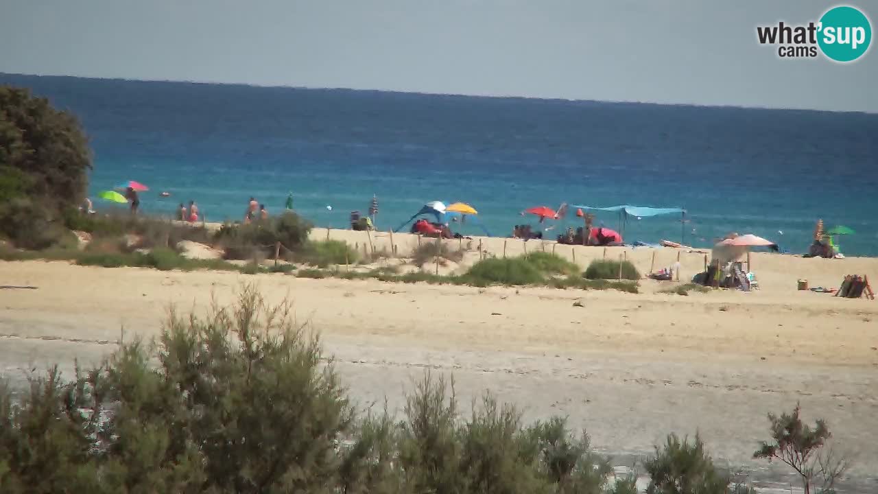 Webcam Chia – Spiaggia Su Giudeu in diretta