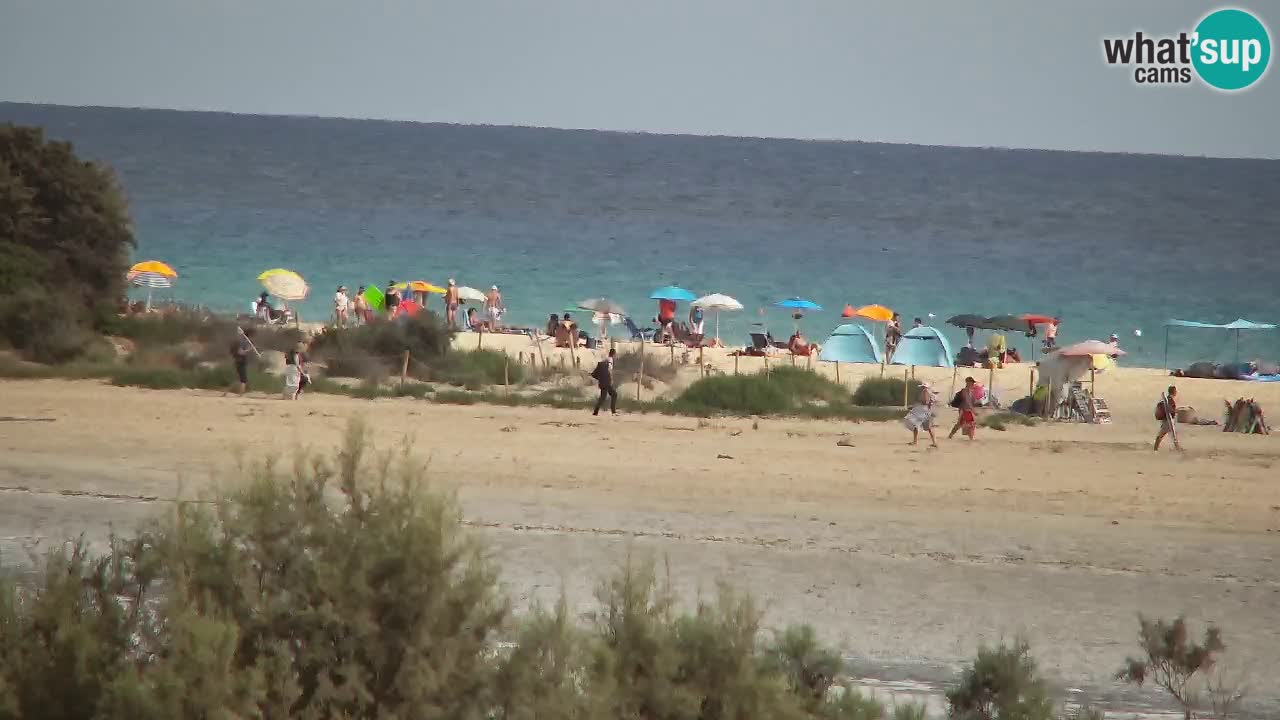 Webcam Chia – Live View of Su Giudeu Beach