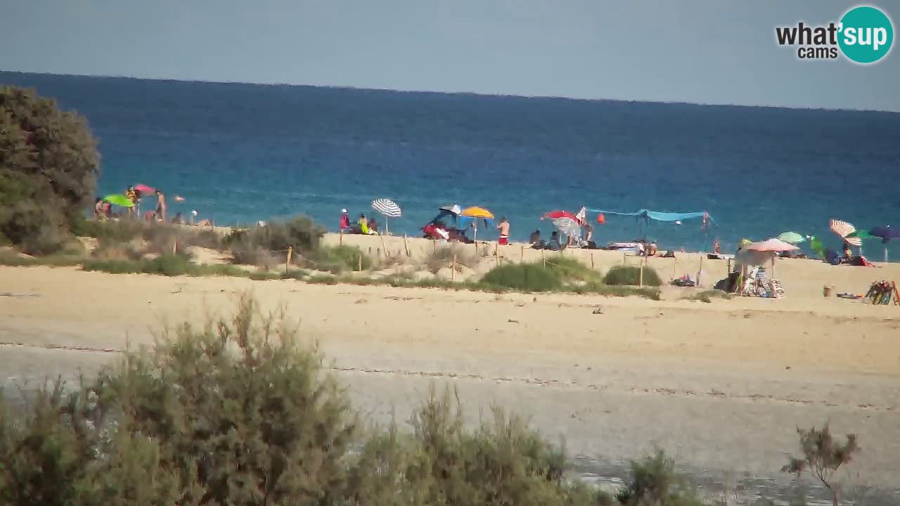 Webcam Chia – Liveblick auf den Strand Su Giudeu