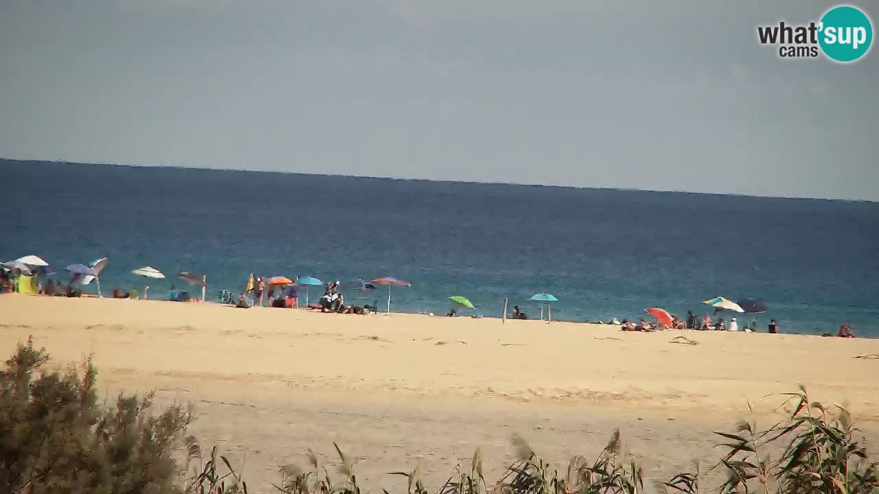Webcam Chia – Vue en direct de la plage Su Giudeu
