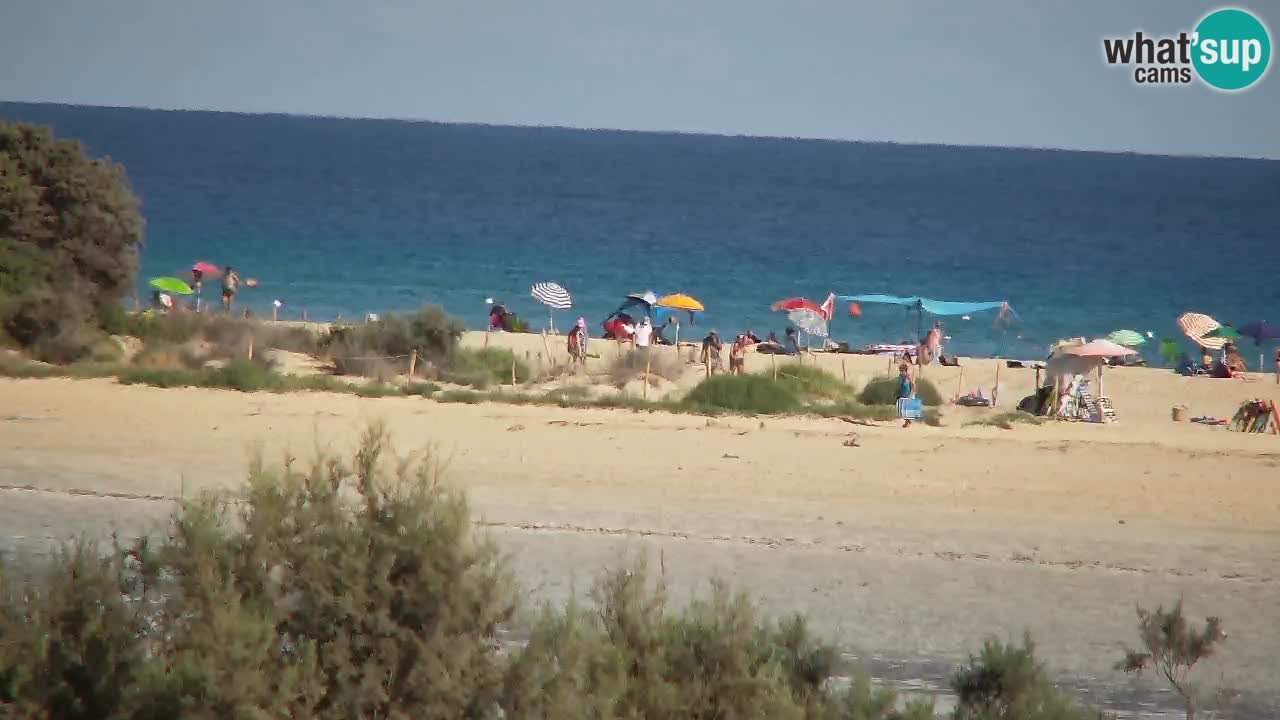 Webcam Chia – Live View of Su Giudeu Beach