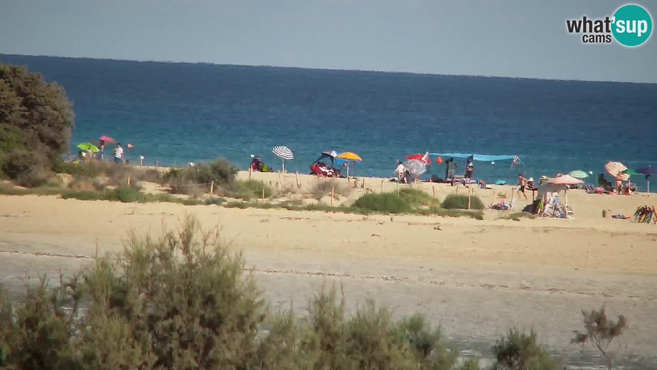 Webcam Chia – Vue en direct de la plage Su Giudeu