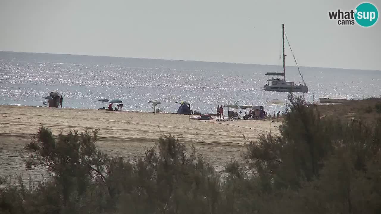 Webcam Chia – Live View of Su Giudeu Beach