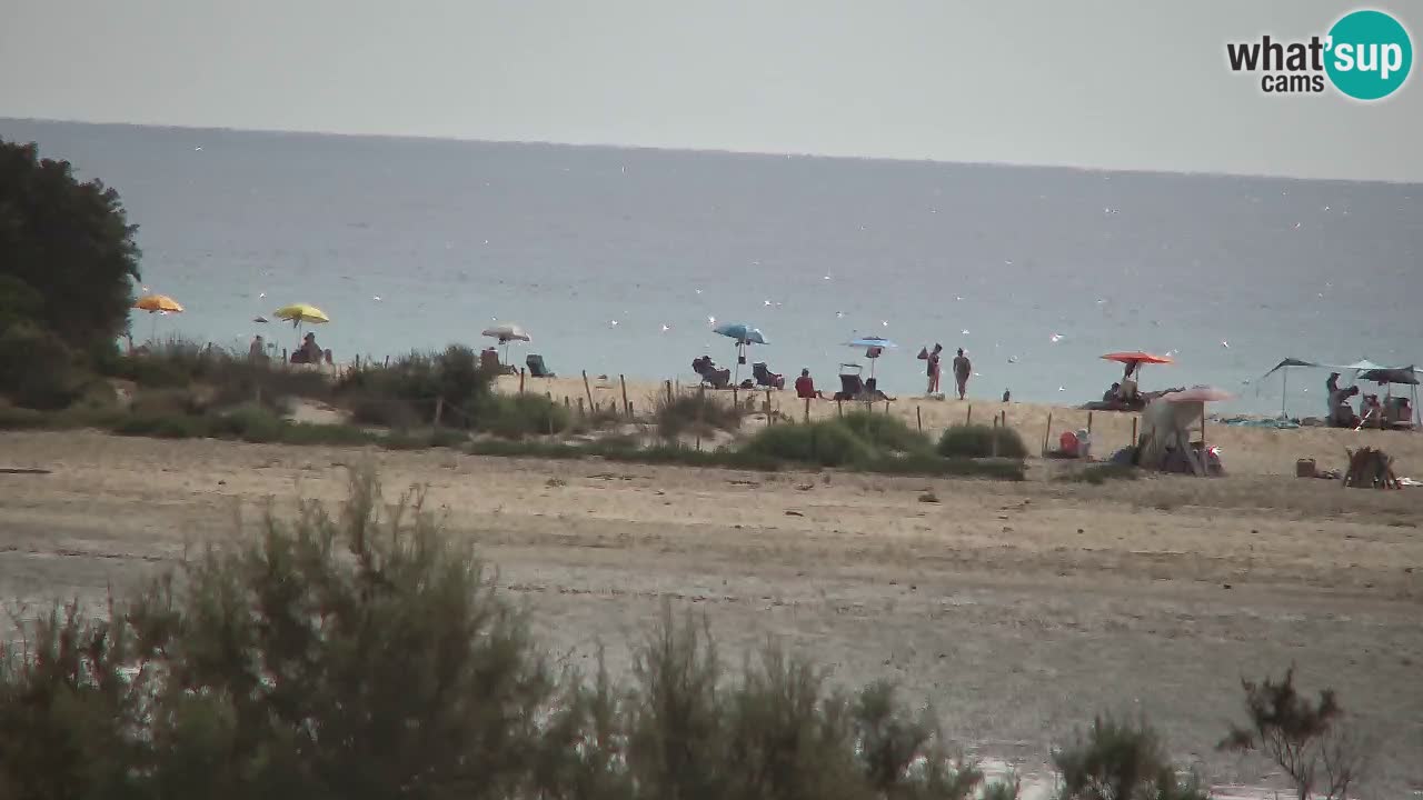 Webcam Chia – Live View of Su Giudeu Beach