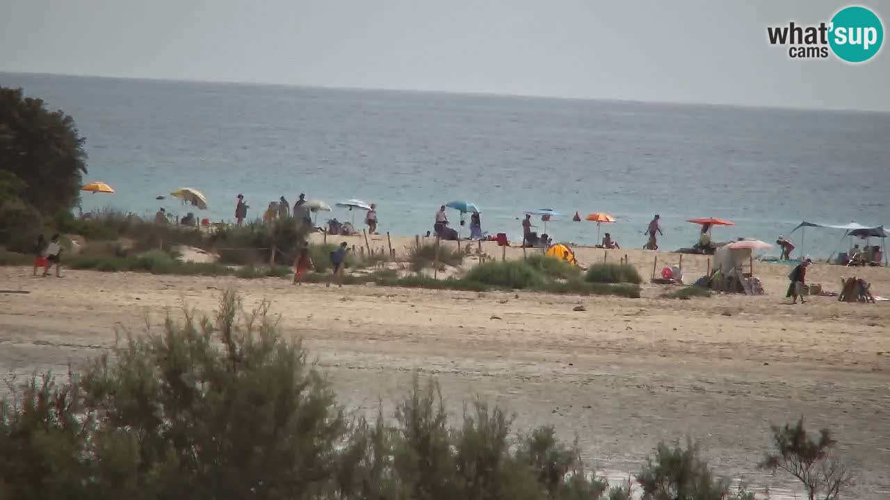 Webcam Chia – Live View of Su Giudeu Beach