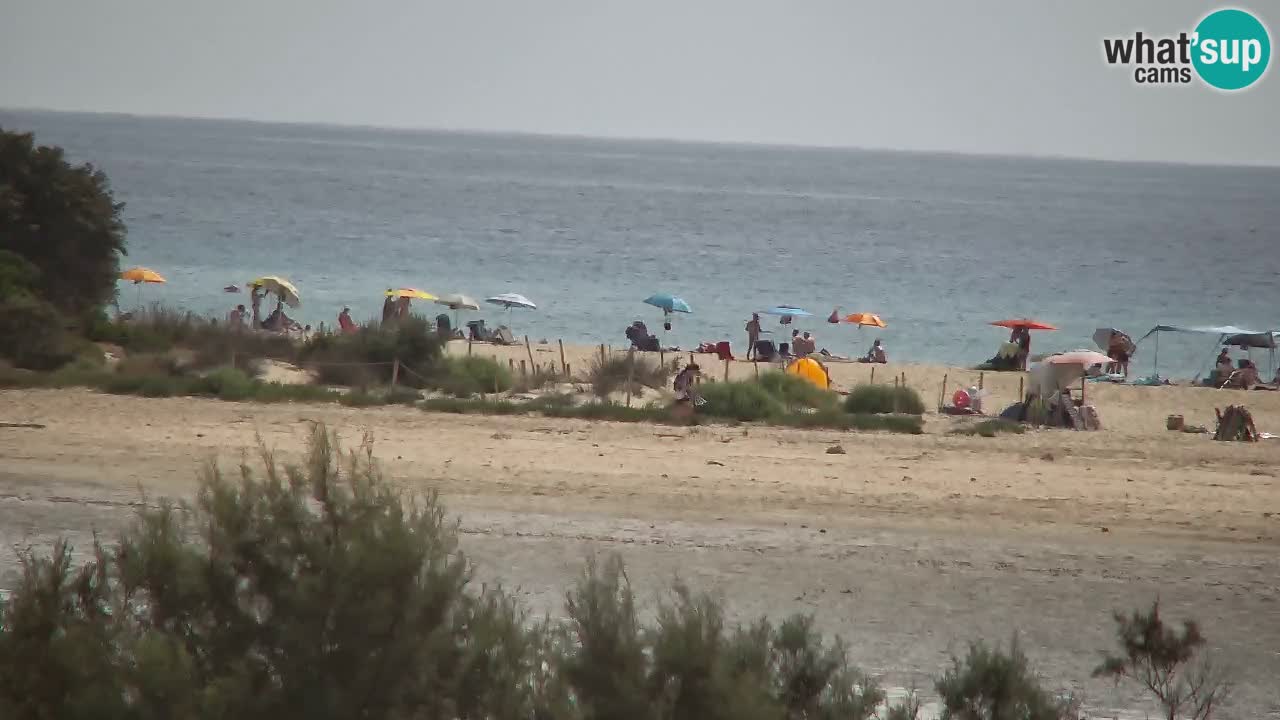 Spletna kamera Chia – Pogled v živo na plažo Su Giudeu