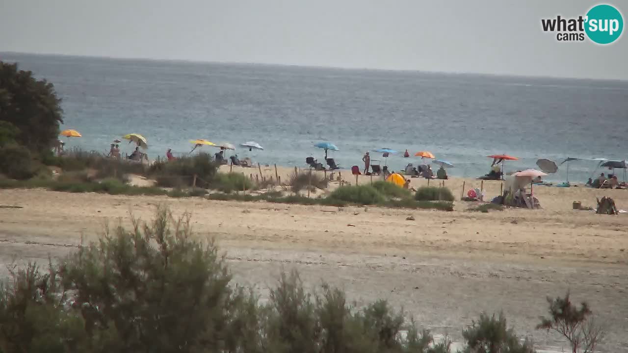 Webcam Chia – Vue en direct de la plage Su Giudeu