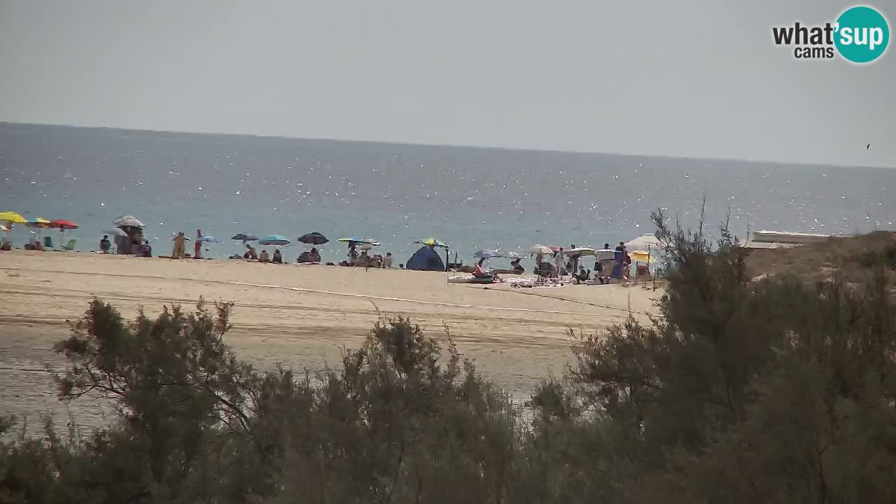Webcam Chia – Vue en direct de la plage Su Giudeu