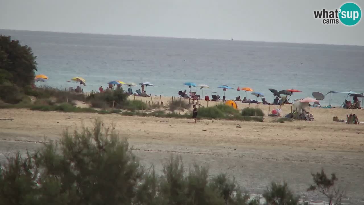 Webcam Chia – Vista en directo de la playa Su Giudeu
