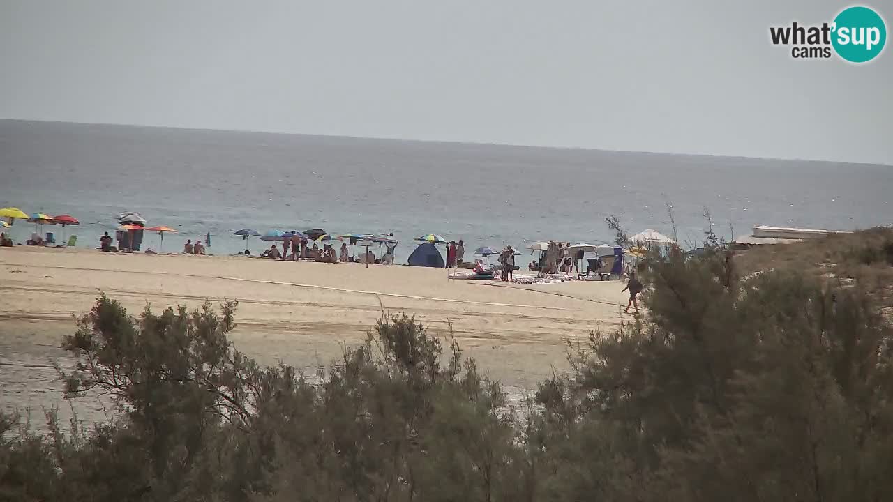 Webcam Chia – Live View of Su Giudeu Beach