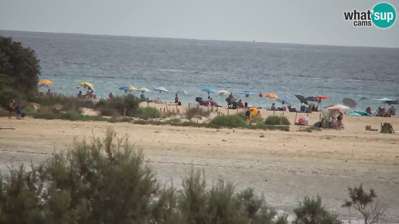 Webcam Chia – Liveblick auf den Strand Su Giudeu